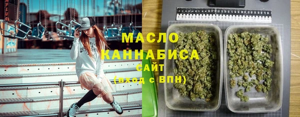 крисы Ростов