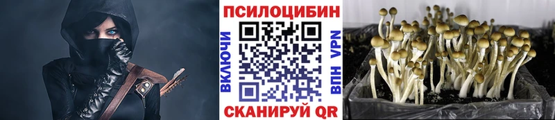 дарк нет какой сайт  Лесозаводск  Псилоцибиновые грибы Psilocybine cubensis 